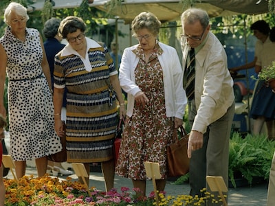 Utrechtse traditie! Kijk deze retro kiekjes van de kleurrijke bloemenmarkt
