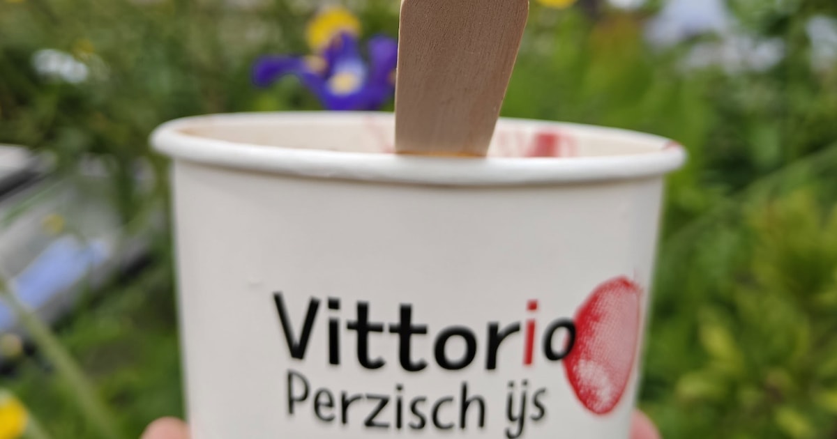 Vittorio is terug, afterparty van de MeiMarkt en meer nieuws