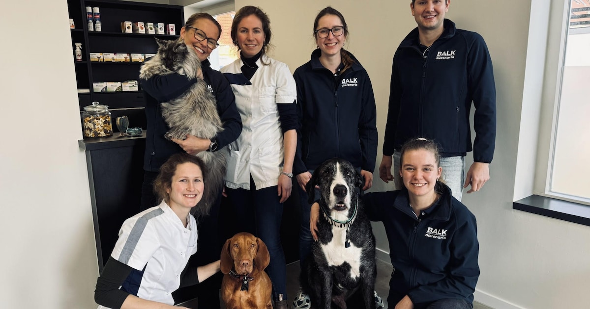 Prikjes, pootjes en passie: bij deze dierenarts in Enschede is ieder huisdier welkom