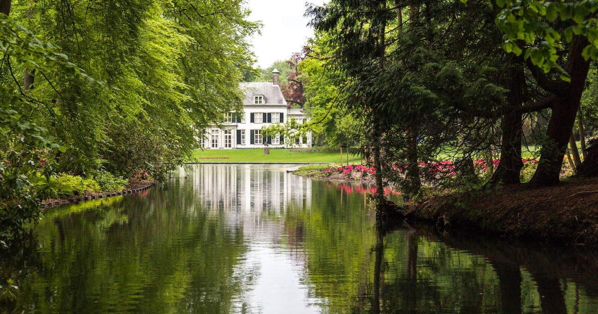 Picknicken dit weekend? Deze 4 parken zijn daar super geschikt voor | Genieten van Amersfoort