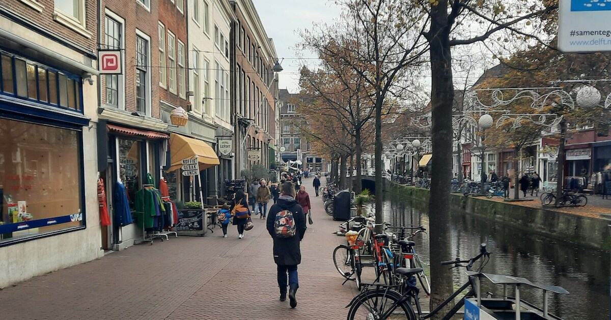 Delft groeit: zoveel inwoners kreeg onze stad in 2021 erbij | Regio ...