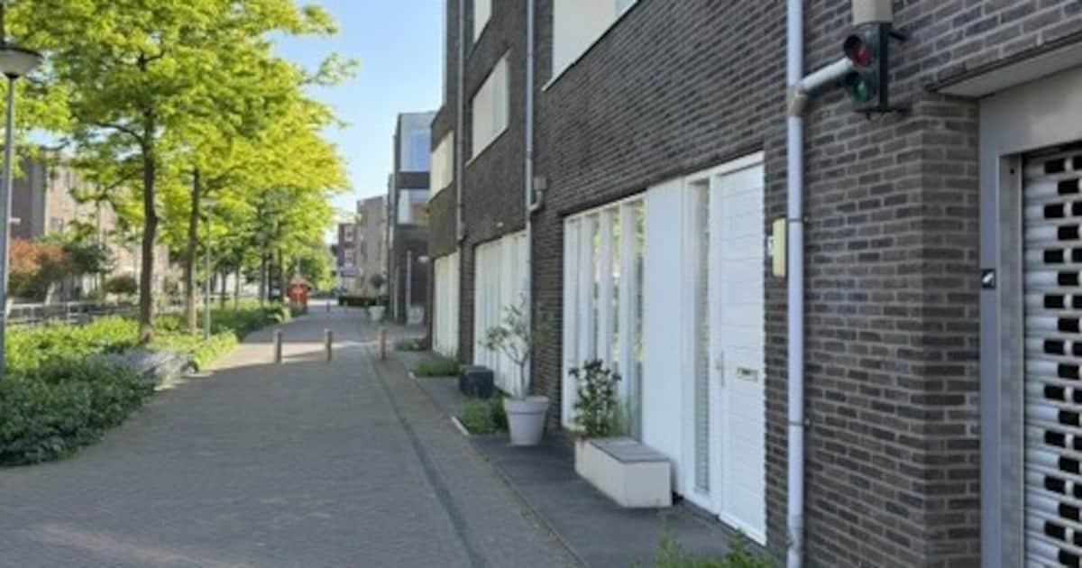 Gezellig! Zo veranderden deze Apeldoorners hun grijze straat in een groene blikvanger