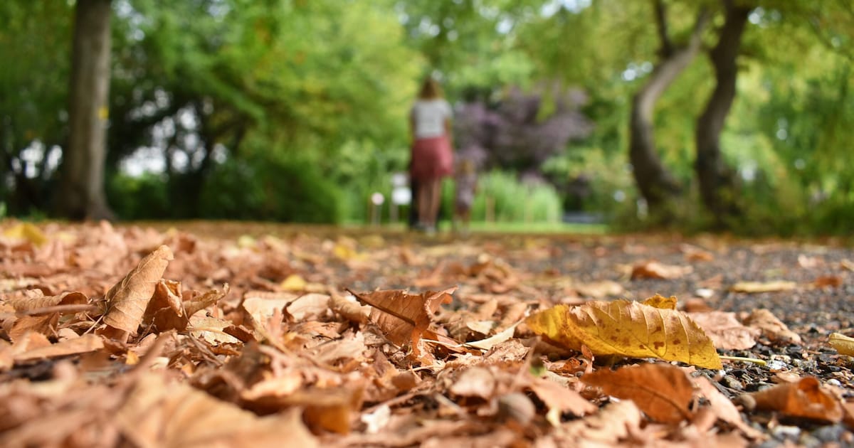 Zon of regen? Dit is de weersverwachting voor oktober in Nijmegen