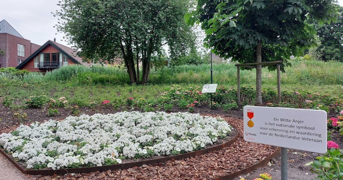 Hierom staan er in de Witte Anjertuin in het Wilhelminapark ook andere witte planten