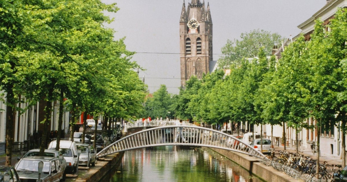 Bijzonder cadeau: deze studentenvereniging gaf Delft een brug