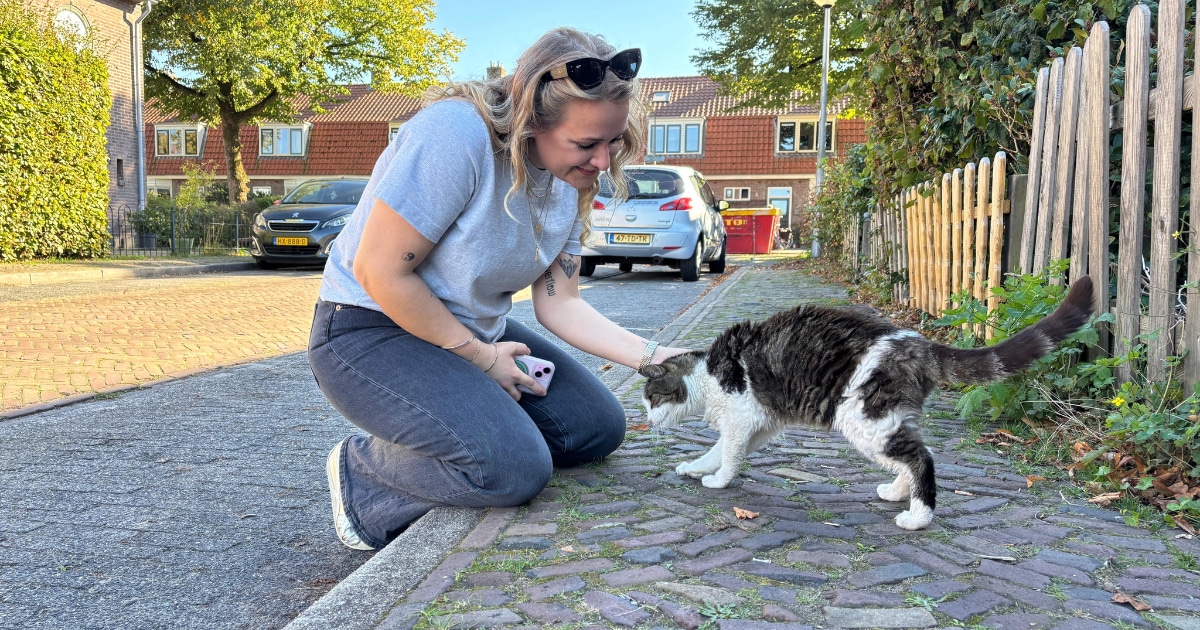 Deze Amersfoorter filmt elke kat uit het Soesterkwartier: ‘Kattenfilmpjes zijn een soort antidepress