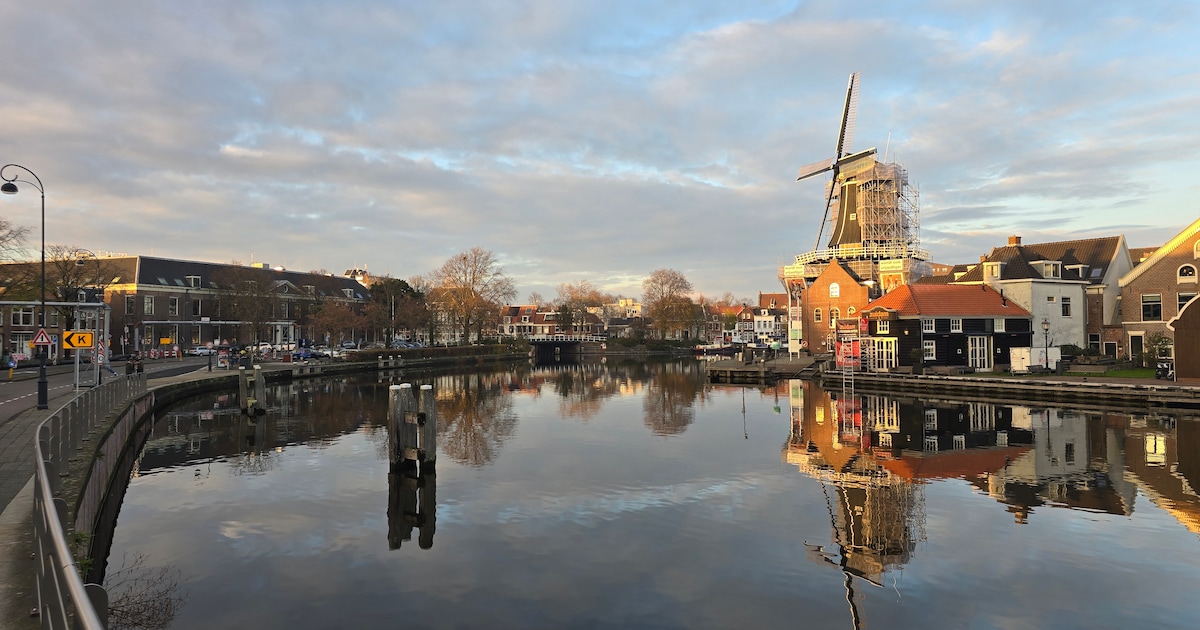 Wegwerkzaamheden in Haarlem: houd hier rekening mee deze week (19 januari – 25 januari)