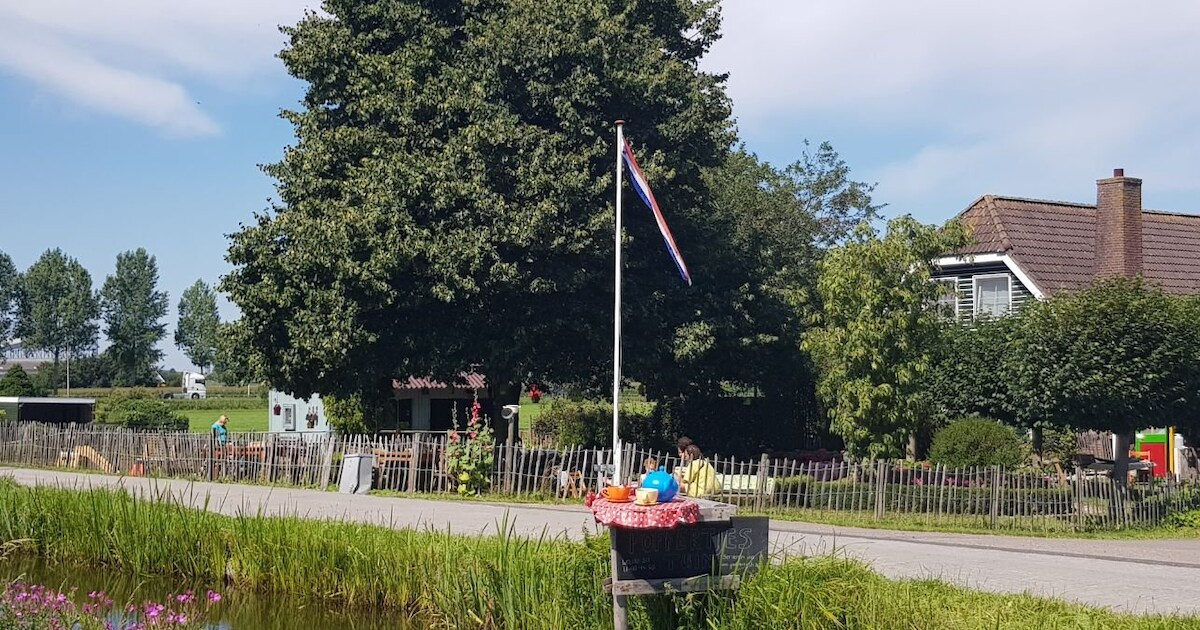 Hup, pak je fiets en ontdek Zoetermeers mooiste routes | Regio ...
