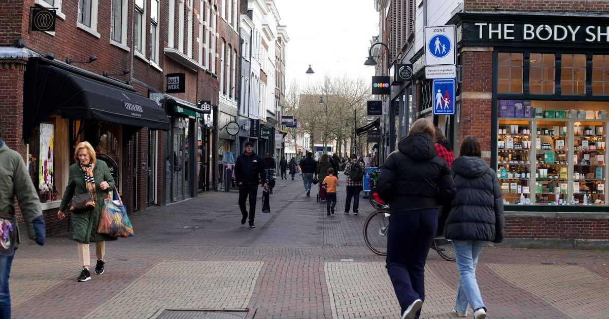 Wat een verschil: zoveel meer inwoners heeft Delft dan in 1995 | Regio ...