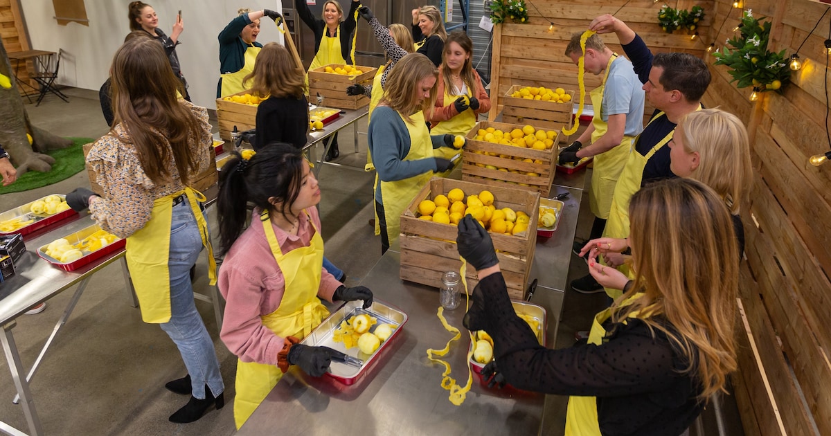 Nooit te oud om te leren: 6 X hier volg je een leuke workshop in Breda