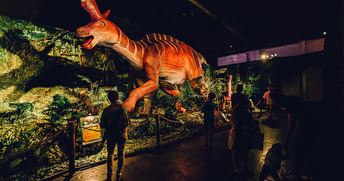 Zeeuwse dinofans opgelet! Hier sta binnenkort oog in oog met levensechte dinosaurussen