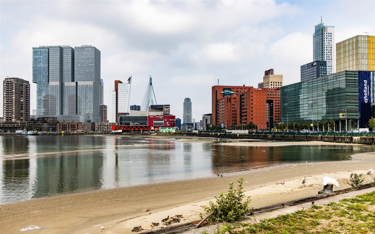 Handdoekje leggen! Het strand aan de Rijnhaven is gedeeltelijk open ...