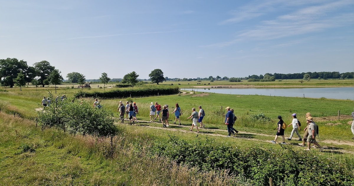 Hazenpadlopers zoeken leden: hier struin je samen door de natuur in Deventer