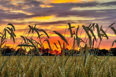 Zon zien zakken: deel je mooiste foto’s van de ondergaande zon