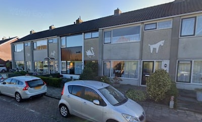 Wonen in een ‘beestjeshuis’ in het Schilderskwartier