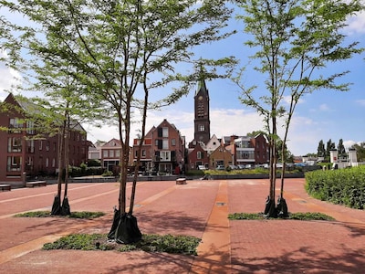 Wikipedia is jarig: 3 x interessante Wiki-feitjes over Vlaardingen