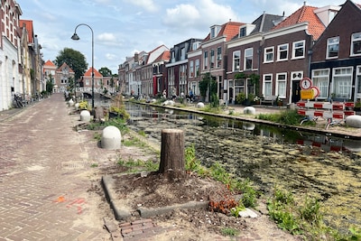 Oproep! Indebuurt zoekt Delftse mysteries