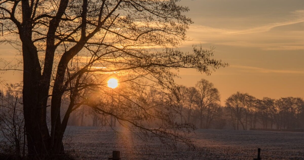 5 x zo mooi is Groot Driene 's ochtends vroeg in de vrieskou