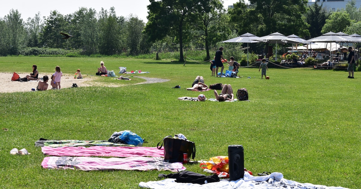 Weekendtips: deze dingen doe je in Haarlem (29-31 mei)