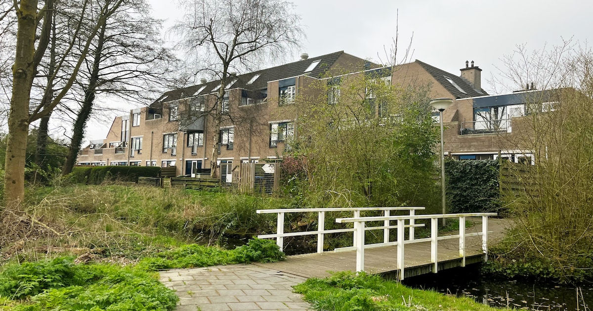 Wonen in Tanthof: deze 5 huizen staan nu te koop