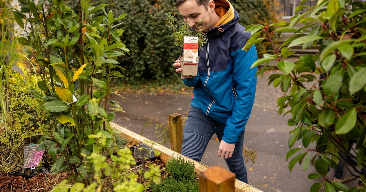Stekje, struikje, siergrasje over? Ruil je planten op deze plantenruilbeurs in Groningen