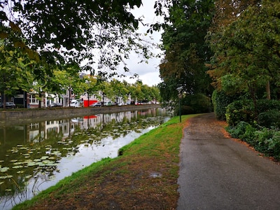 Mysteries opgelost: waarvoor dienden de singels vroeger?