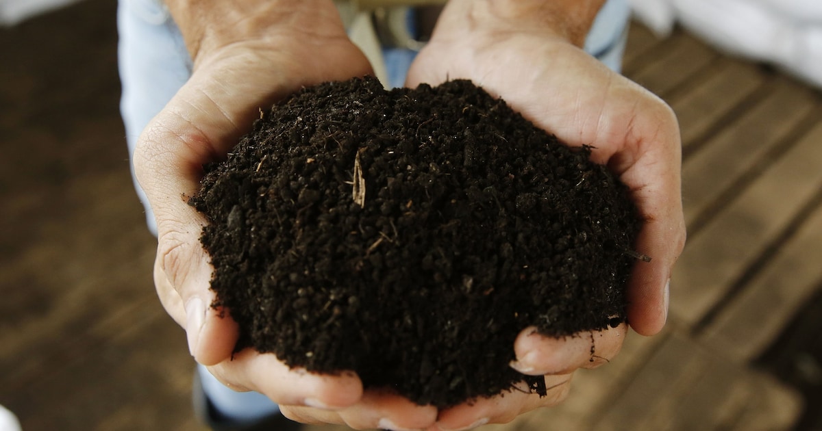 Gratis compost voor je tuin! Op deze dag haal je het op in Doetinchem