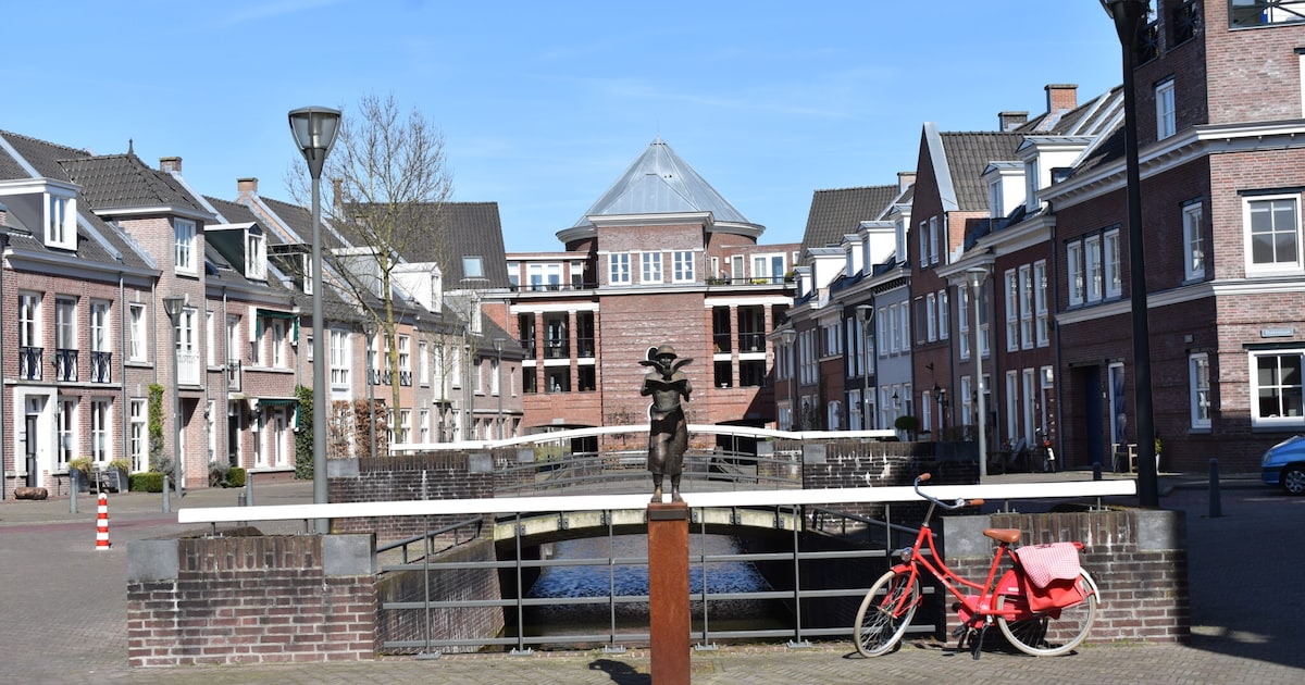 Money money money: in deze 5 wijken is het inkomen van inwoners het hoogst