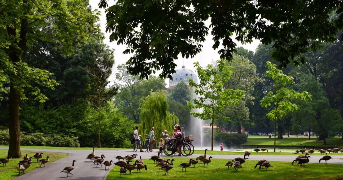 Breda wil Park Valkenberg veiliger maken en jij kunt hierover meebeslissen