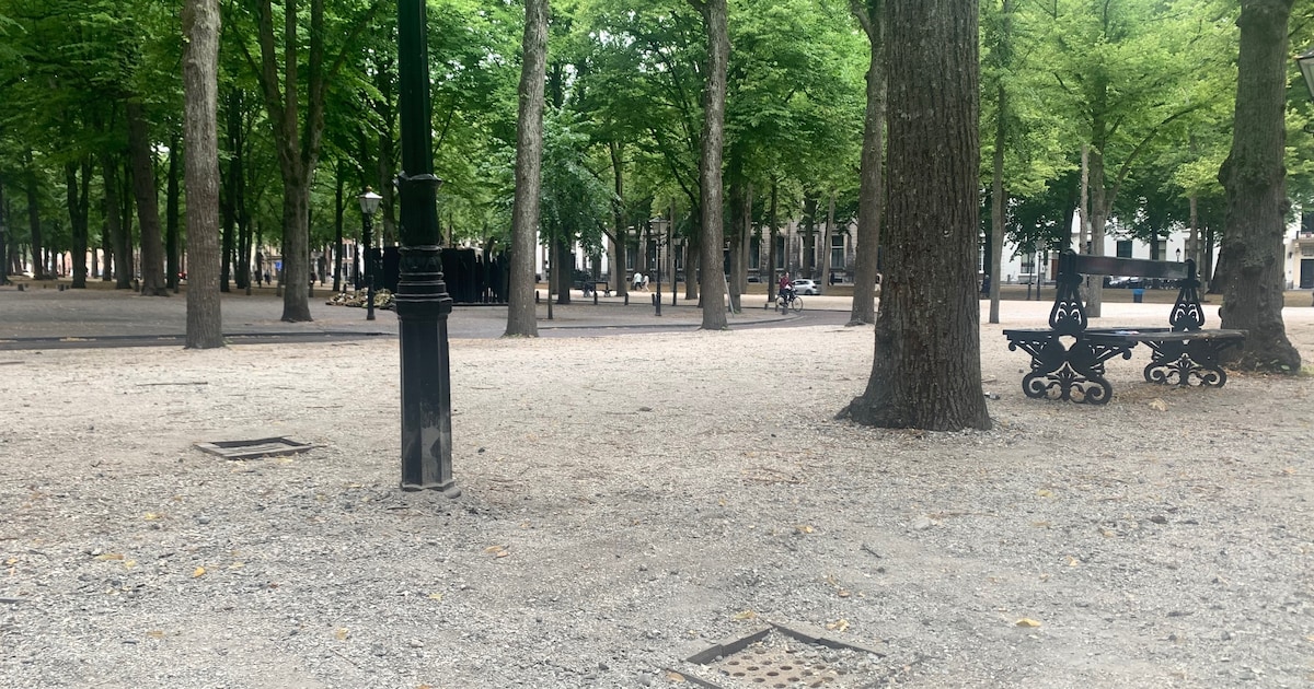 Mysterie: hierom zitten die gaatjes in de grond op het Lange Voorhout