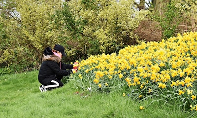 Korte broek of winterjas: dit is de weersverwachting voor de Zoetermeerse lente