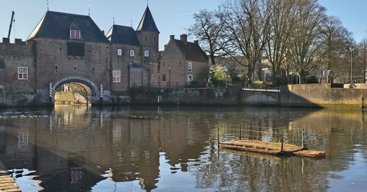 Handdoekje leggen? Vergeet het: dit is waar het eilandje bij de Koppelpoort voor dient