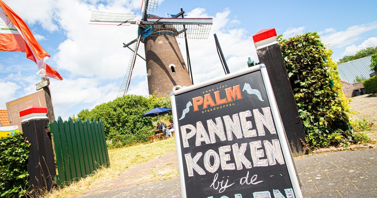 Bij deze molens in de buurt van Bergen op Zoom mag je binnenkort zelf binnenkijken