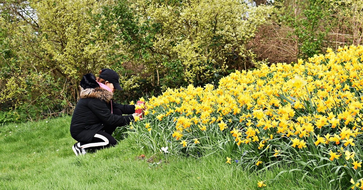 Weekendtips: deze dingen doe je in Middelburg (27-29 maart)