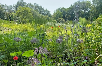 Fleurig en kleurig: hier vind je een botanische tuin vlak bij Doetinchem