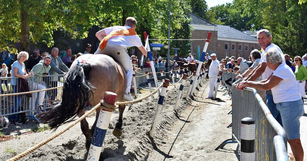 Yee-haw! Zo streden bijna 200 ruiters om het Zeeuws kampioenschap ringrijden