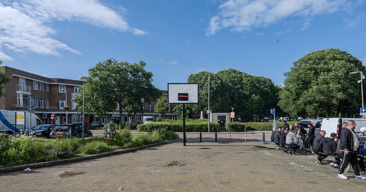 Weekendtips: deze dingen doe je in Schiedam (18-20 september)