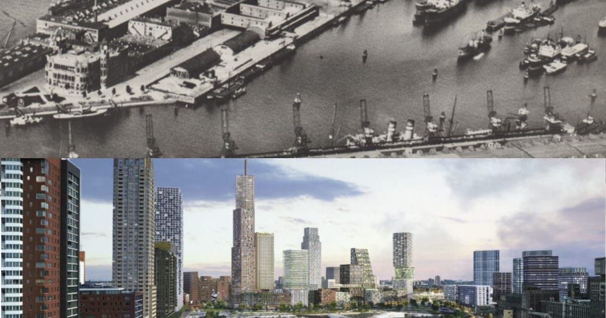 Wat een verandering! De Rijnhaven vroeger, nu en in de toekomst | Regio ...