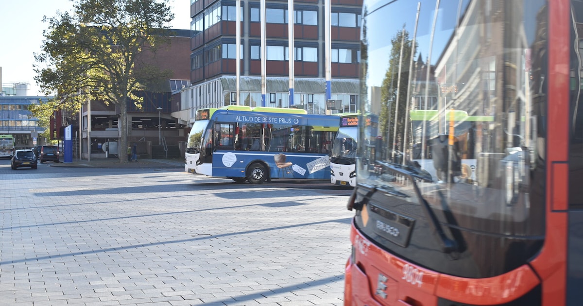 Met de fiets, bus, trein of auto naar Bevrijdingspop 2026 in Haarlem: zo doe je dat slim