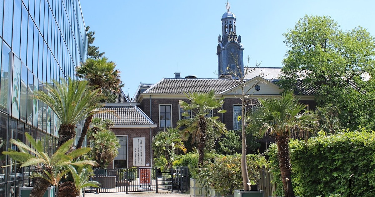 Fleurig en kleurig: hier vind je een botanische tuin in Leiden