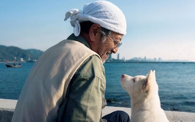 Cute! Op deze dag kun je met je hond naar de film in Rotterdam