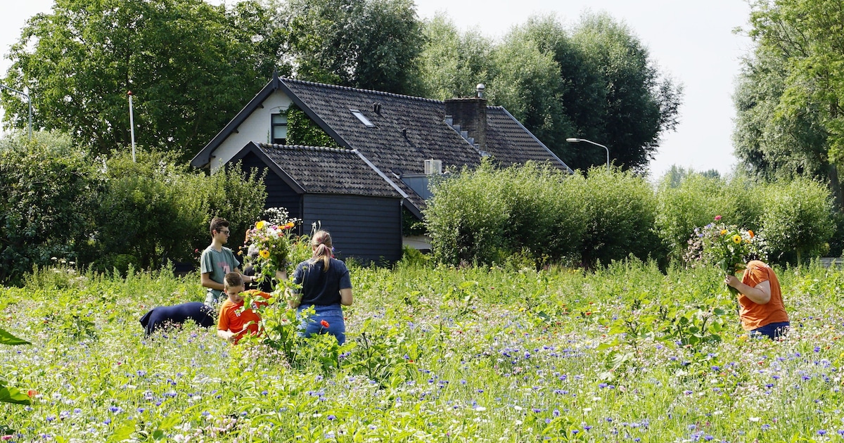 Getipt! Deze dingen doe je dit weekend in Dordrecht (14 - 16 augustus)