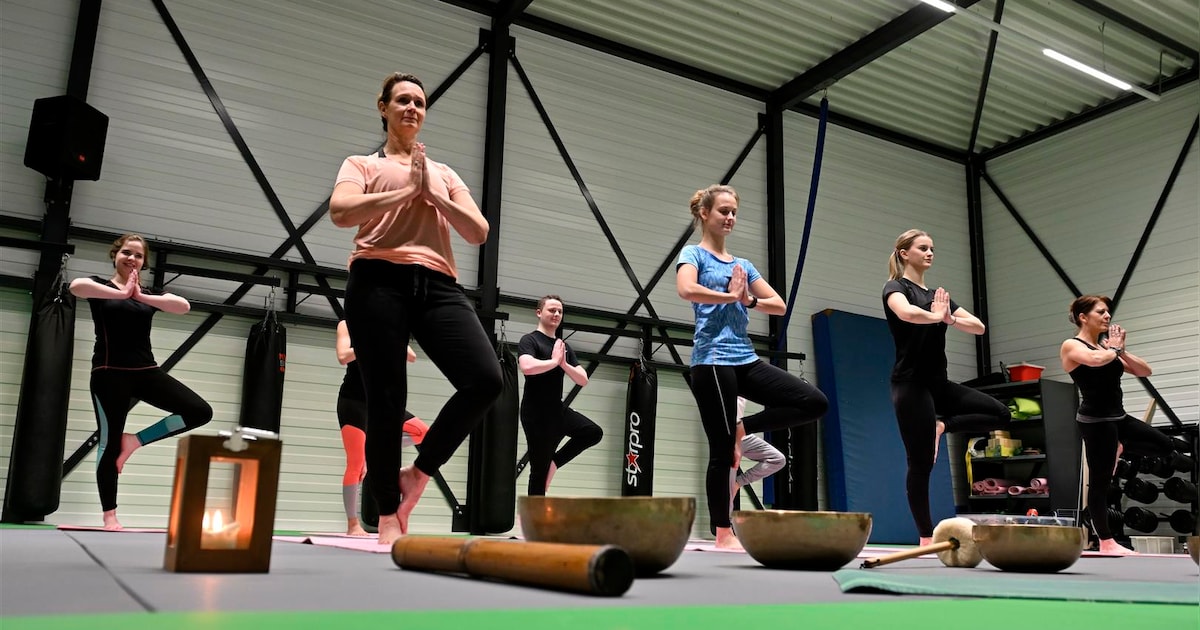 Yin yoga of hatha yoga: deze lessen kun je nu ook volgen bij FitPunt