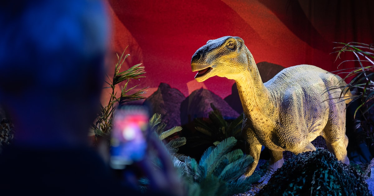 Winnen! Kom samen met je hele gezin oog in oog te staan met levensechte dino’s