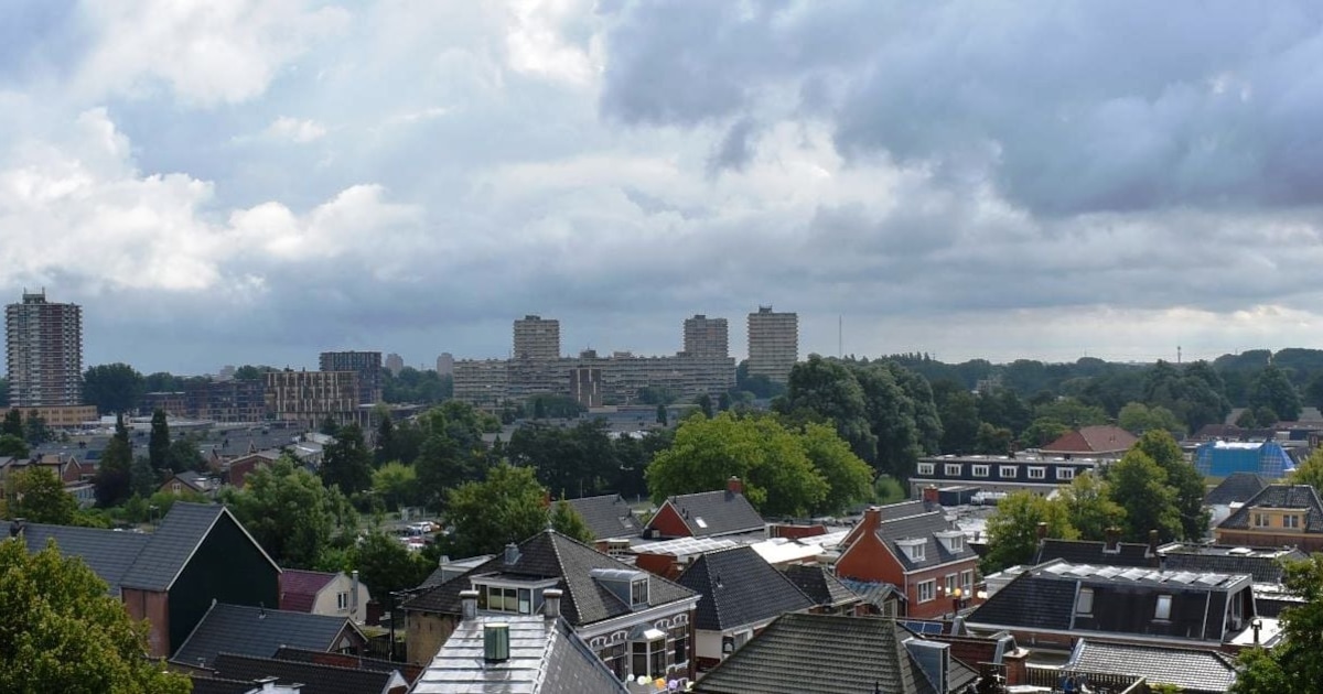 Wikipedia is jarig: 3 x interessante Wiki-feitjes over Zoetermeer