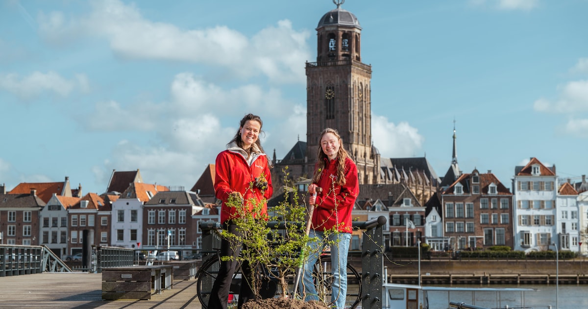 Deze blije ‘heggies’ komen langs om jouw erf te verfraaien met een heg