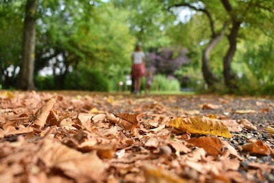 Zon of regen? Dit is de weersverwachting voor oktober in Apeldoorn