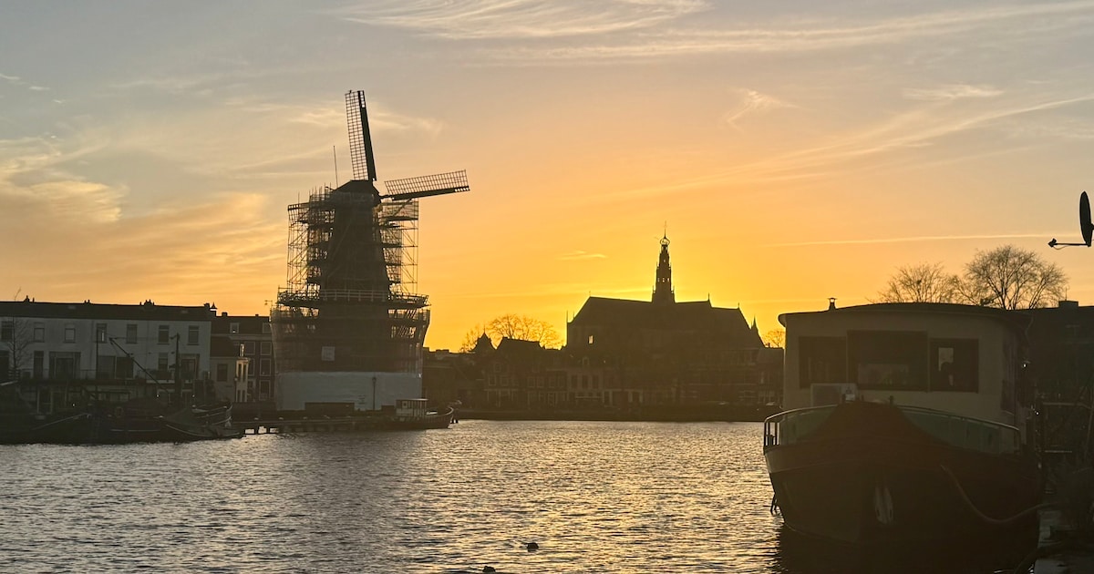 Weekendtips: deze dingen doe je in Haarlem (30 oktober - 1 november)