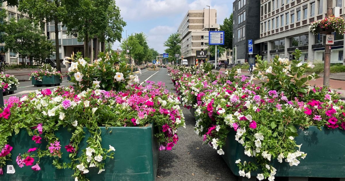 Knip in de Weesperstraat: dit zijn de resultaten van de proef | Regio ...