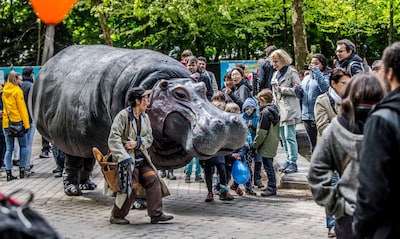 Festival De Verwondering 2026: locaties, programma en praktische info